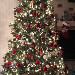 Meet your Posher, Monica